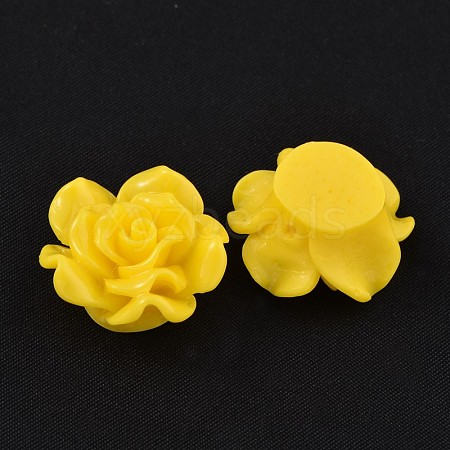 Resin Beads RESI-B3244-A14-1