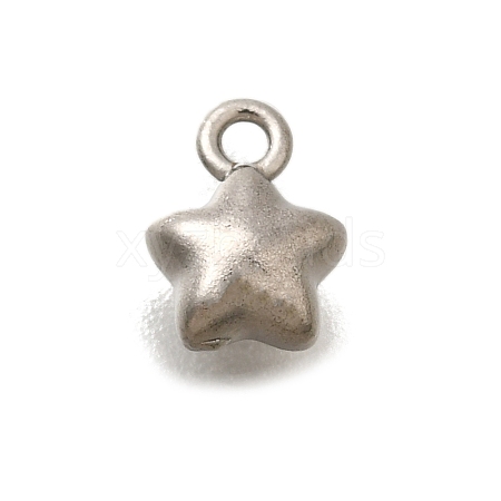 304 Stainless Steel Charms STAS-D310-06P-05-1