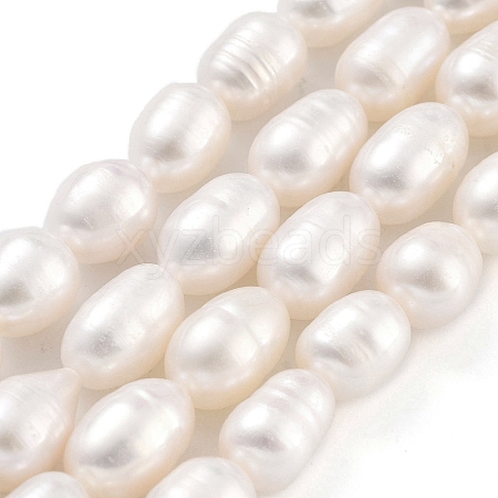 Natural Cultured Freshwater Pearl Beads Strands PEAR-P062-10C-1