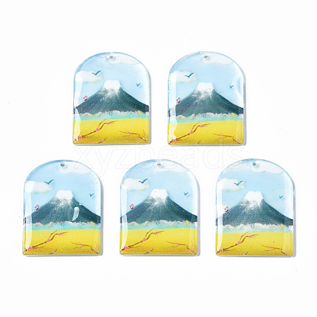 Transparent Printed Acrylic Pendants KY-S163-287-1