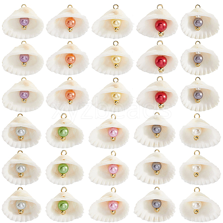 30Pcs Natural Shell & Imitation Pearl Pendants PALLOY-SC0004-42-1