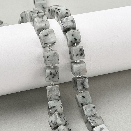 Natural Sesame Jasper Beads Strands G-D338-A20-1
