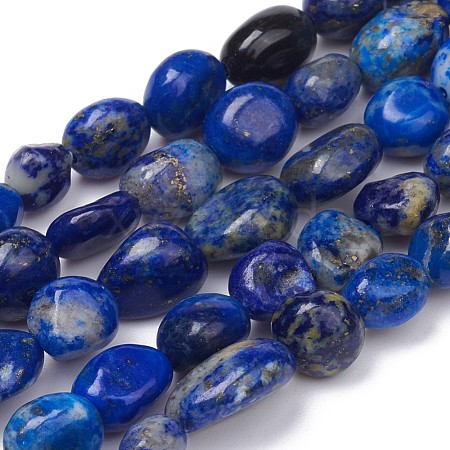 Natural Lapis Lazuli Beads Strands X-G-L493-40-1