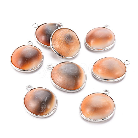 Natural Trumpet Shell Pendants SSHEL-T014-26-1