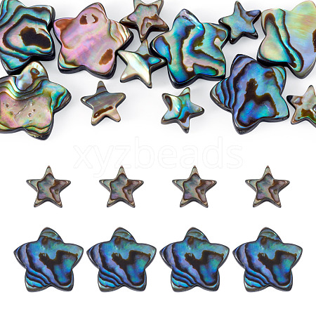 12Pcs 2 Styles Natural Abalone Shell/Paua Shell Beads SHEL-TA0001-40-1