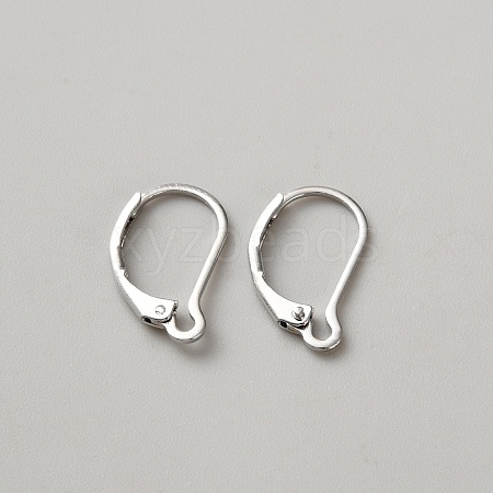 Brass Hoop Earring Findings DIY-WH0888-510P-1