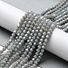 Opaque Solid Color Electroplate Glass Beads Strands EGLA-A039-P4mm-A14-4