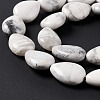 Natural Howlite Beads Strands G-L242-13-5