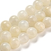 Natural White Moonstone Beads Strands G-F306-05AB-10mm-01-1