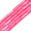 Natural Freshwater Shell Beads Strand SHEL-T017-40B-1