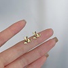 Alloy Earrings for Women FS-WG98937-105-1