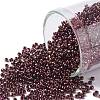 TOHO Round Seed Beads SEED-JPTR11-0502-1