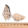 Natural Conch Shell Beads BSHE-O007-57-2