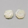 Natural White Shell Mother of Pearl Shell Cabochons SSHEL-R042-11-2