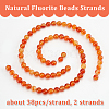 Olycraft 2 Strands Natural Carnelian Beads Strands G-OC0004-56-4