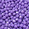 Baking Painted Glass Seed Beads SEED-C004-01T-3