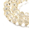 Transparent Baking Paint Glass Beads Strands LS-DGLA-A034-T8mm-D02-3