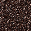 MIYUKI Delica Beads Small X-SEED-J020-DBS0150-3