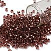TOHO 6/0 Round Beads SEED-XTR06-0746-1
