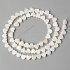 Natural Freshwater Shell Beads Strands SHEL-N026-71-2