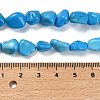 Synthetic Turquoise Beads Strands G-P497-01E-37-5