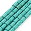 Synthetic Turquoise Beads Strands X-TURQ-G120-4x6mm-13-1