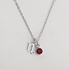 304 Stainless Steel Light Siam Rhinestone Birth Stone Constellation Pendant Necklaces FS-WG76580-13-1