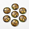 Glass Cabochons GLAA-WH0015-22E-06-2