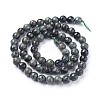 Natural Kambaba Jasper Beads Strands G-P430-11-B-1