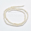 Natural Cultured Freshwater Pearl Beads Strands PEAR-F007-62-01-2