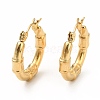 Ion Plating(IP) 304 Stainless Steel Chunky Hoop Earrings for Women EJEW-F283-06G-1