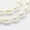 Shell Pearl Beads Strands BSHE-P024-05-3