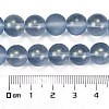 Frosted Transparent Glass Bead Strands GLAA-P065-10mm-10-3