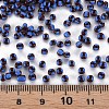 8/0 Glass Seed Beads SEED-S006-2-4