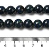Natural Azurite Beads Strands G-H298-A01-04-5