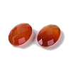 Natural Red Agate(Dyed & Heated) Cabochons G-O175-15C-01-2