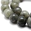 Natural Labradorite Bead Strands G-P256-01-12mm-3