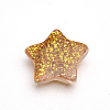 Resin Cabochons CRES-Q196-27B-2