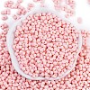 Baking Paint Glass Seed Beads X1-SEED-K010-A25-3