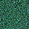 MIYUKI Round Rocailles Beads X-SEED-G007-RR0354-3