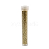 Plastic Glitter Powder Fillers LS-AJEW-H144-01A-2