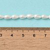 Electroplate Shell Pearl Beads Strands BSHE-G010-4x6mm-01-5