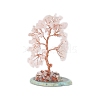 Natural Rose Quartz Chips Tree of Life Decorations PW-WG497C0-02-1