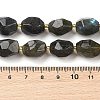 Natural Labradorite Beads Strands G-P541-A01-08-4