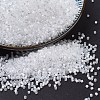 MIYUKI Delica Beads SEED-X0054-DB0670-1