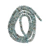 Natural Apatite Beads Strands G-G189-C03-02-3