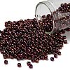TOHO 8/0 Round Beads SEED-XTR08-0502-1