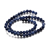 Natural Sodalite Round Bead Strands G-P072-27-8mm-3