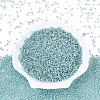 12/0 Grade A Round Glass Seed Beads SEED-Q007-F47-2