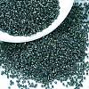 MIYUKI Delica Beads SEED-MY11-DB0276-1